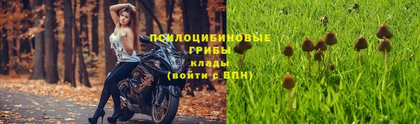 стаф Волоколамск