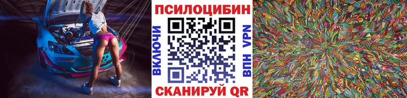 Псилоцибиновые грибы Cubensis  Железноводск 